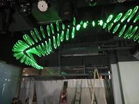 Lustre suspendu personnalisé en forme de libellule, lumière décorative de luxe pour les espaces hôteliers