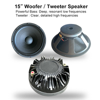 Haut-Parleurs Professionnels ODM Personnalisés Actifs et Passifs 15 Pouces, Système Audio PA, Woofer, Subwoofer Basse