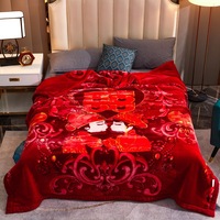 Couverture de lit en velours à multiples styles, couette en raschel en gros, couverture chaude de 5 kg 200*230 cm