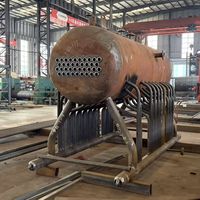 Chaudière à vapeur industrielle horizontale à grille à chaînes, fonctionnant au charbon, 2 tonnes, fabriquée en Chine