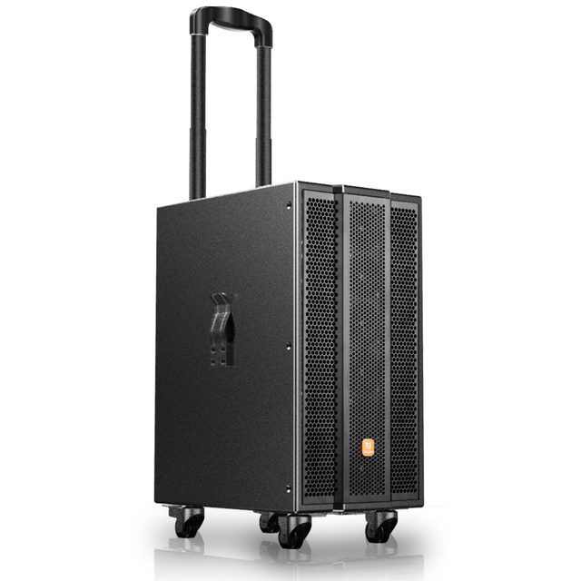 High Power Portable Trolley Speaker with Rechargeable Battery, Bluetooth PA System for Karaoke and Outdoor Singing