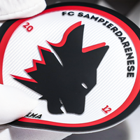 Transfert de chaleur chaud sport équipe de football Club maillot 3D caoutchouc Tatami tissu personnalisé Silicone Champions League Lextra Patch