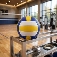 Ballon de volley-ball en TPE cousu à la machine, taille 5, léger, pour terrain intérieur, entraînement de groupe et jeux de loisirs pour seniors