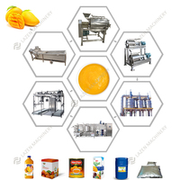 Industriële multifunctionele energiezuinige automatische mango-pulp productielijn (1-2 ton/uur)