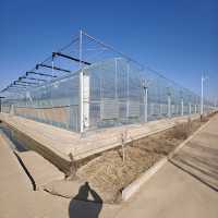 Système complet de culture en serre agricole multi-travées ZHUOTAI pour légumes-feuilles Chine