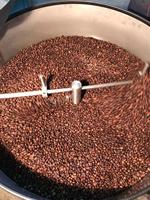 Nouveau torréfacteur de noix de torréfaction de traitement de grain de cacao de grain de café avec le refroidissement