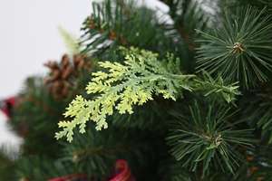 Wholesale Selling 3.5ft Eco-Friendly Pvc Artificial <b>Christmas</b> <b>Tree</b> Customizable Size <b>Christmas</b> <b>Tree</b> - Product Image 4