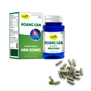 Asthme Douleur de la tête Soutien Immunité Complément alimentaire pour la santé des poumons Meilleure vente Scutellaria Baicalensis Capsules pour toutes les femmes enceintes - Product Image 1