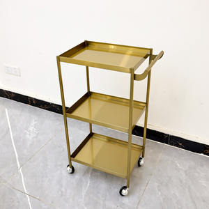 Wholesale Facial Bed Beauty Lash Bed Trolley Chair, Full Set Salon Furniture Package, Electric Adjustable Spa Treatment Table - Product Image 3