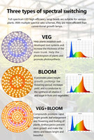 Indoor Desktop LED Kweeklampen Hydroponische Groenten Bloemen Vol Spectrum voor VEG BLOOM Schakelaar Dimbaar Hoge CRI 120 Licht
