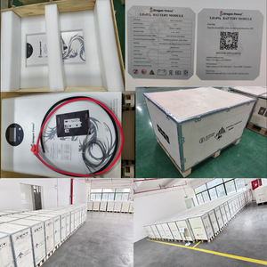 รับผลิตแบตเตอรี่ LiFePo4 แบบ OEM/ODM แรงดันต่ำ 12.8 โวลต์ 25.6 โวลต์ 51.2 โวลต์ ความจุ 100 แอมป์ชั่วโมง 200 แอมป์ชั่วโมง 300 แอมป์ชั่วโมง 314 แอมป์ชั่วโมง 330 แอมป์ชั่วโมง 600 แอมป์ชั่วโมง สำหรับระบบกักเก็บพลังงานแสงอาทิตย์ - Product Image 6