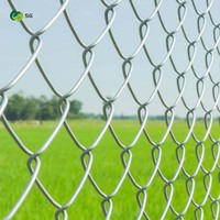 Paneles de Malla Metálica Galvanizada para Construcción en Exteriores, de 1.6-4.0 mm, Temporales, Plateados, Personalizados, Duraderos, para Uso Residencial