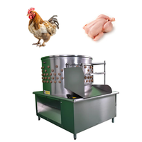 Máquina de matanza y desplumado de pollos de gran oferta con eliminación automática de plumas con bomba y cojinete de componentes centrales