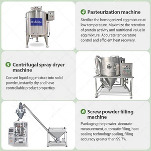 बड़े पैमाने पर अंडे का सफेद पाउडर उत्पादन लाइन एक चीन फैरा हुआ मट्ठा हाइड्रोलाइज्ड बनाने मशीन प्लांट प्रोटीन - Product Image 4