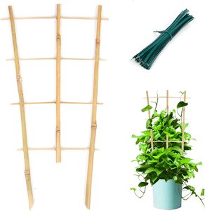18 inch Chiề<span class=keywords><strong>u</strong></span> cao tre tự nhiên <span class=keywords><strong>trellis</strong></span> cho leo cây trồng trong nhà H hình dạng thang thiết kế - Product Image 3
