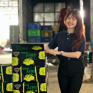 Tốt nhất lớp/Màu xanh lá cây tươi không hạt <span class=keywords><strong>Lime</strong></span> và chanh để bán cho UAE, saudi arabia, Maldives-Linda whatsap Linda 0084 989 322 607 - Product Image 1