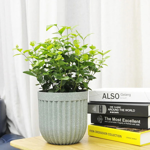 Bulk Mini Small Dining <strong>Table</strong> Colorful <strong>Plastic</strong> Flower <strong>Pot</strong> on the <strong>Table</strong> for Bedroom - Product Image 5