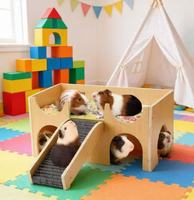 Maison en bois multifonctionnelle pour cochon d'Inde, mobilier pour animaux de compagnie, hamac, cachette, jouet anti-ennui, détachable