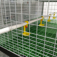 Cage à poulets de chair multi-niveaux de type H avec système automatique et convoyeur pour usage domestique, vente au détail, usine de fabrication et ferme
