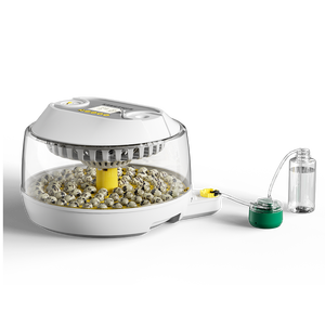 2026 कारखाने प्रत्यक्ष आपूर्ति नए डिजाइन 18 चिकन अंडे इनक्यूबेटर और 79 क्वेल अंडे इनक्यूबेटर डिजिटल तापमान नियंत्रण - Product Image 3