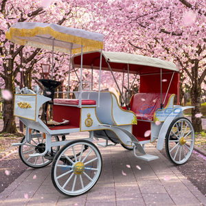 Carruaje sin Caballos de 6 Plazas, Buen Precio, Vehículo Turístico del Fabricante, Carruaje Eléctrico para Bodas, Carruaje Real a la Venta - Product Image 1