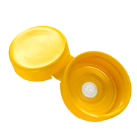 Bouchon de bouteille de sauce BBQ en plastique personnalisé de 28 mm, 31 mm, 38 mm, distributeur d'eau, bouchon à rabat avec valve à fente transversale