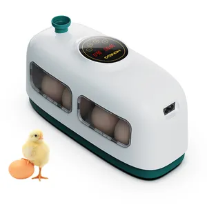 Meilleur affichage d'humidité mini 8 couveuse d'œufs de poule, incubateur solaire automatique