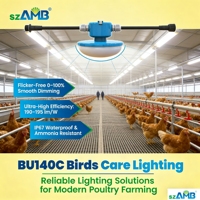 Ampoule LED pour élevage avicole IP67 Rouge & Blanc Commutable 9W Couverture Lactée Garantie 5 Ans Sans Scintillement
