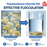 Cloruro de Polialuminio, Floculante, Tratamiento de Floculación Rápida, Producto Químico