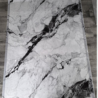Panneau mural en PVC de haute qualité, imperméable, ignifuge, design moderne, revêtement anti-UV, installation facile