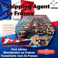 Agente de Transporte Marítimo Francia, Transporte de Carga Aérea y Marítima, Logística Internacional, Contenedor de Carga, Aeropuerto Charles De Gaulle, París