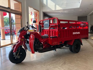Motocarro de Carga DAYANG Nuevo de 250cc, Alta Relación Calidad-<span class=keywords><strong>Precio</strong></span>, <span class=keywords><strong>Trimoto</strong></span> de Carga de 150cc Personalizada con Certificación CCC para el Mercado Global - Product Image 4