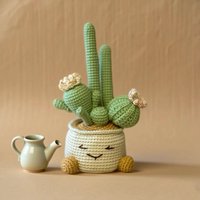 Kit de Crochet DIY Cactus Fait Main avec Pot à Visage Mignon - Ensemble de Bricolage Plante Succulente - Décoration Unique pour la Maison - Cadeau pour les Amateurs de Plantes