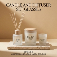 Flacon diffuseur de luxe réutilisable en verre avec bouchon en bois, pour parfum d'ambiance, ensemble de diffuseur à bâtonnets en verre, directement de l'usine