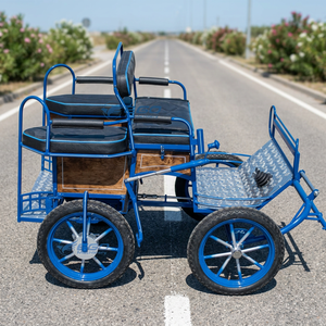 Carroza de Lujo para Caballos de Maratón, Carroza para Poni, Caja para Sillas de Montar - Product Image 1