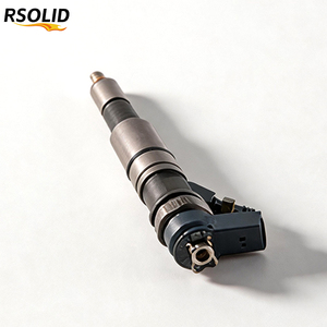 หัวฉีดคอมมอนเรลแรงดันสูง Rsoliddiesel 0445110216 0 445 110 216 0986435091 0445110161 13537790093 13537793836 - Product Image 1