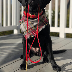 <span class=keywords><strong>Collar</strong></span> de correas recubiertas de PVC para perros, accesorio personalizado Bicolor, impermeable, para mascotas al aire libre, proveedor de fábrica <span class=keywords><strong>China</strong></span>, venta al por mayor - Product Image 6