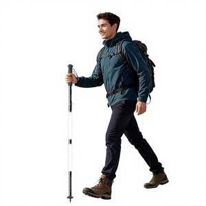 <span class=keywords><strong>Bâton</strong></span> de randonnée <span class=keywords><strong>pliable</strong></span> en alliage d'aluminium à 3 sections, léger, rechargeable, portable, avec éclairage lumineux en caoutchouc - Product Image 2