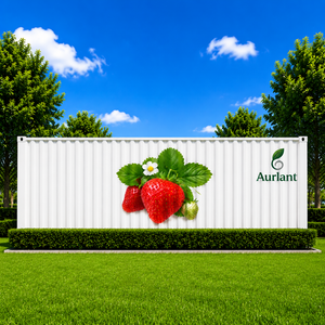 Contenedor Hidropónico Inteligente para Cultivo de Fresas con Control Climático, Sistema Automatizado de Agricultura Vertical Interior - Product Image 1