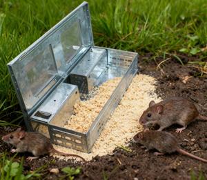 Piège à souris multifonctionnel, solide, en métal, imperméable, robuste, écologique, résistant, pour une lutte efficace contre les nuisibles en intérieur et en extérieur - Product Image 1