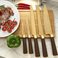 Ensemble de couteaux de cuisine professionnels en acier inoxydable personnalisés pour couper le steak et la viande pour le ménage et le chef avec poignée en plastique