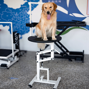 <span class=keywords><strong>Table</strong></span> de toilettage pour animaux de compagnie en acier inoxydable Lehuo avec fonction de levage électrique, élimination des poils, source d'alimentation rechargeable - Product Image 2