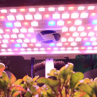 Jardinière Intelligente de Bureau pour Cultures Intérieures, Système de Culture Hydroponique à 12 Compartiments, Lumière LED pour la Croissance des Plantes, Hauteur Réglable, Homologué FCC/CE