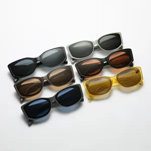नि:शुल्क नमूने फैशन फैशनेबल 2024 कस्टम डिजाइनर यूवी400 ध्रुवीकृत महिला पुरुष चश्मा महिला पुरुषों के लिए धूप का चश्मा