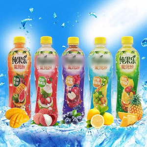 Distribuidor de refrescos tropicales, exóticos, 500ml, de china - Product Image 6