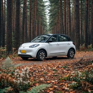 Vehículo Eléctrico Nuevo Wuling Bingo <span class=keywords><strong>de</strong></span> Gran Venta, 41 CV, Cinco Puertas, Cuatro Asientos, <span class=keywords><strong>Coche</strong></span> Pequeño <span class=keywords><strong>de</strong></span> Dos Voluminosos Volúmenes - Product Image 1