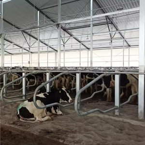 Nuovo Design di Attrezzature per Allevamenti Bovini, Letti per Mucche, Box Liberi per Stalle da Latte di Alta Qualità - Product Image 4