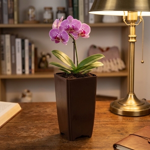 Décoration de jardin moderne et minimaliste, pot de fleurs pour orchidées, à poser au sol, intérieur/extérieur, en PP, avec trou de drainage, durable, léger, 5 - Product Image 4
