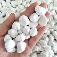 Pierres de pas de jardin en pierre naturelle de cailloux de roche de rivière blanche pure Offre Spéciale pour une utilisation en extérieur