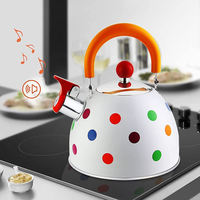 Bouilloire à eau Portable Rechargeable en acier inoxydable, vente directe d'usine